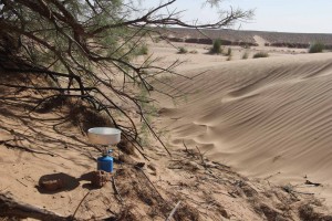 Déjeuner sous la dune